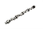 Camshaft, P8 XR264HR-10